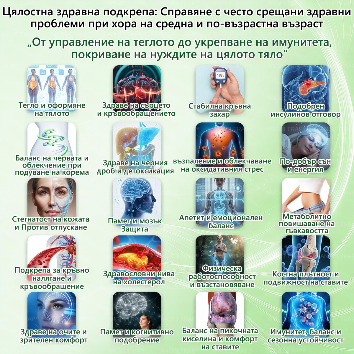 👩‍⚕️ 𝐴𝑁𝐺𝐸𝐿𝑇𝑅𝐴𝑃® 𝐌𝐨𝐫𝐢𝐧𝐠𝐚 × 𝐁𝐞𝐫𝐛𝐞𝐫𝐲𝐧𝐚 × 𝐀𝐌𝐏𝐊 𝟏𝟎 в 𝟏 – Нано микроиглен пластир за отслабване|Само 𝟏× дневно ✅ Видими промени за 𝟕 дни – при затлъстяване, сърдечно-съдово здраве, диабет и ставни проблеми