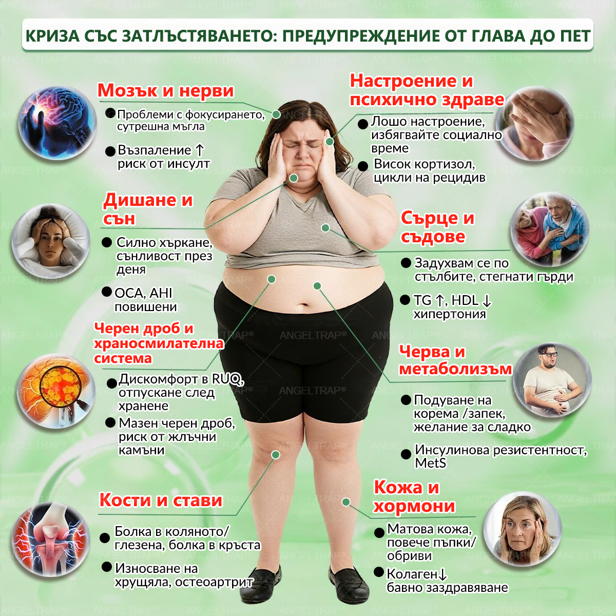 👩‍⚕️ 𝐴𝑁𝐺𝐸𝐿𝑇𝑅𝐴𝑃® 𝐌𝐨𝐫𝐢𝐧𝐠𝐚 × 𝐁𝐞𝐫𝐛𝐞𝐫𝐲𝐧𝐚 × 𝐀𝐌𝐏𝐊 𝟏𝟎 в 𝟏 – Нано микроиглен пластир за отслабване|Само 𝟏× дневно ✅ Видими промени за 𝟕 дни – при затлъстяване, сърдечно-съдово здраве, диабет и ставни проблеми